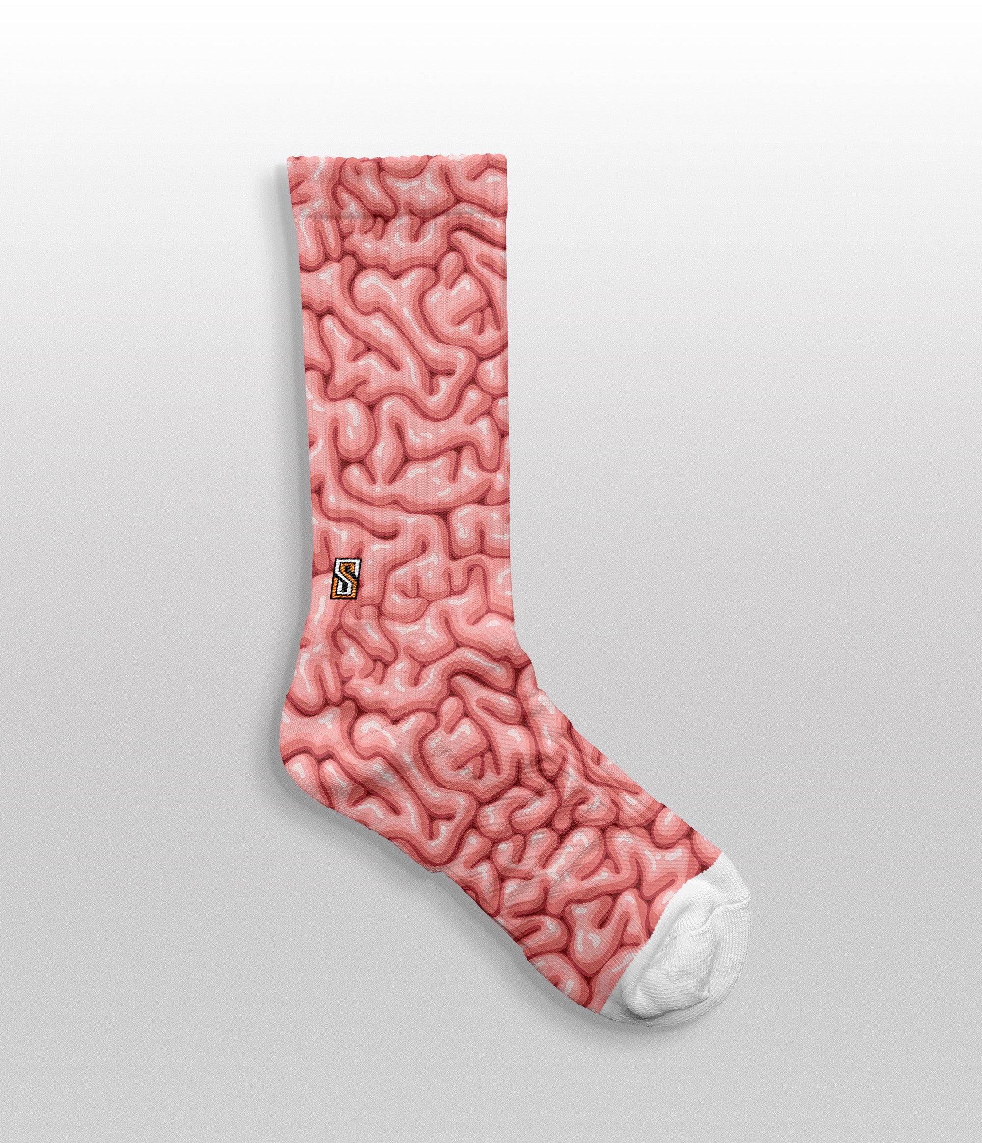 Brains